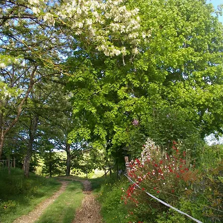 Gîte l'appel de la Forêt Betplan Exterior foto