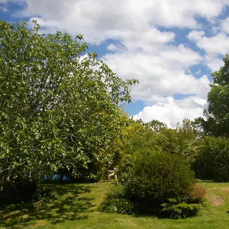 Gîte l'appel de la Forêt Betplan Exterior foto