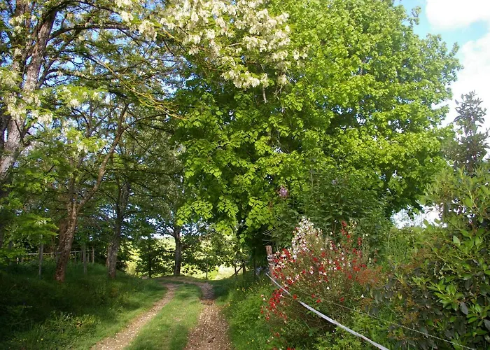 Gite L\'Appel De La Foret