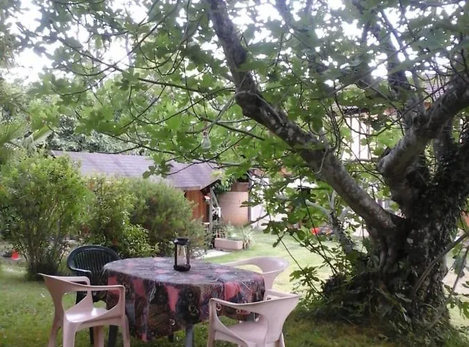 Gite L\'Appel De La Foret
