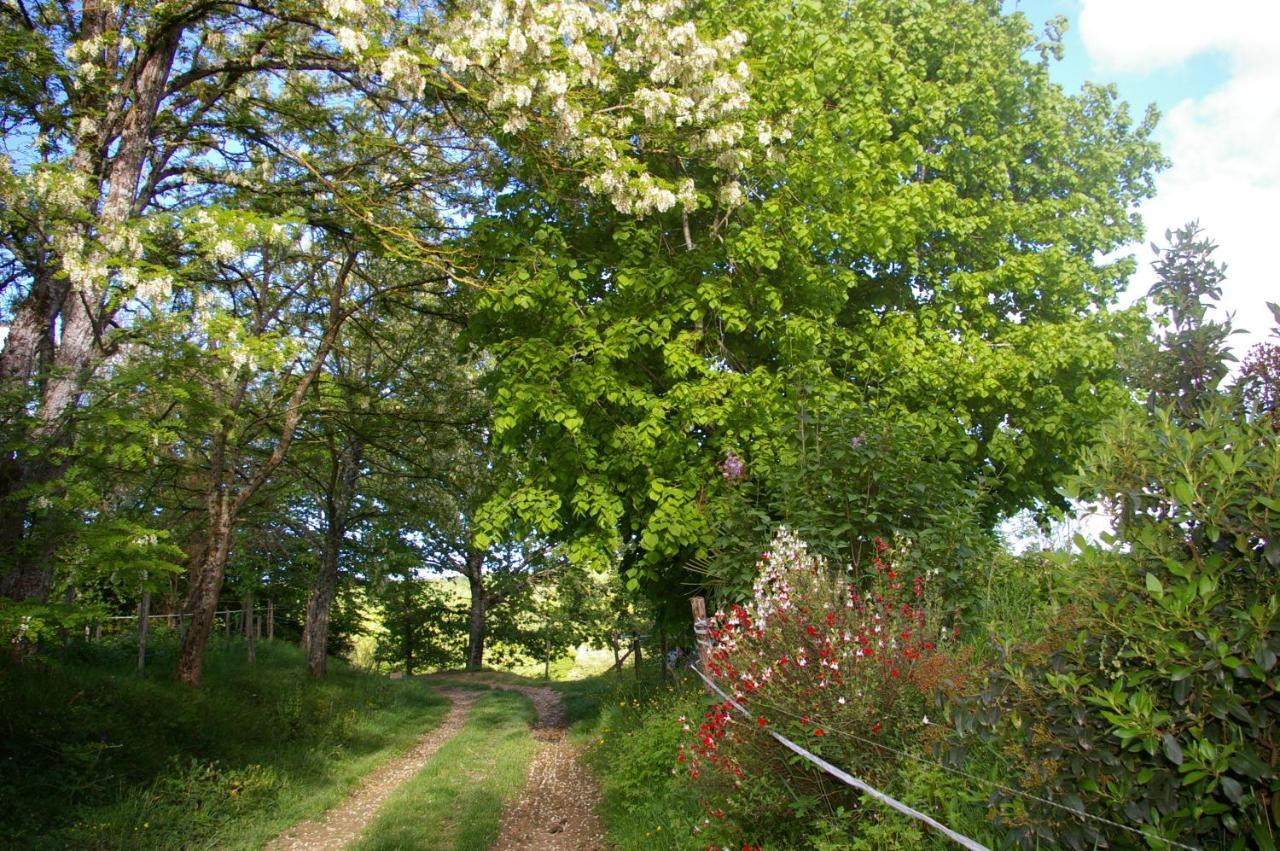 L'appel De La Foret