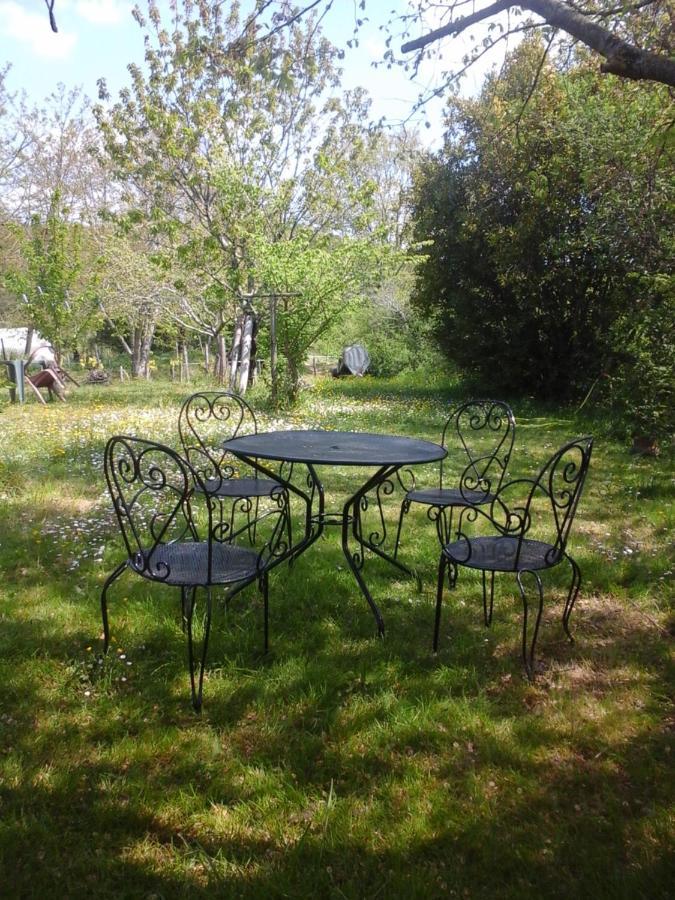 L'appel De La Foret * Betplan