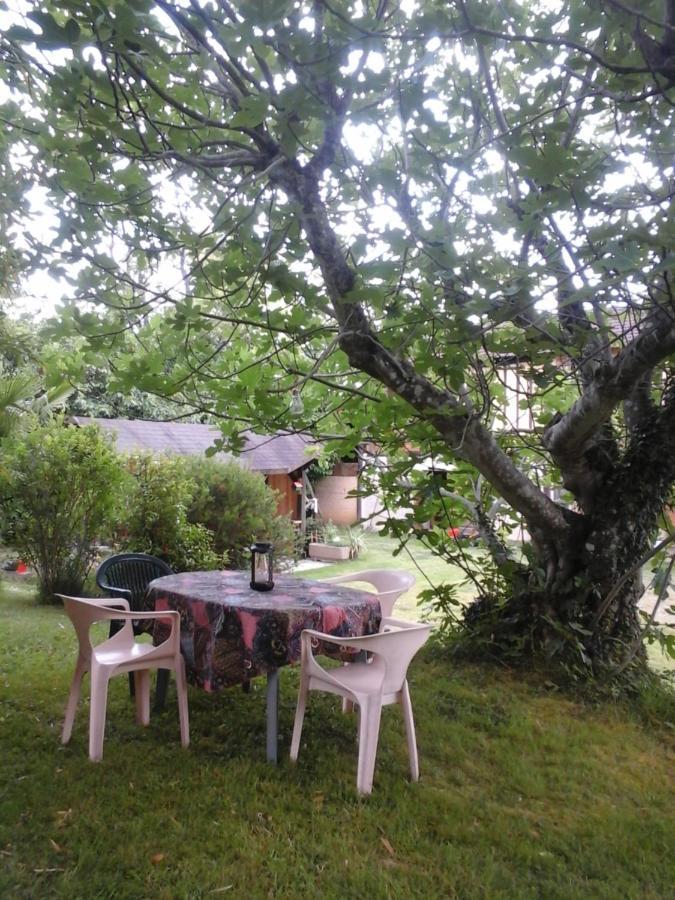 L'appel De La Foret Betplan